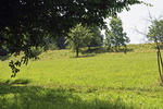 grafika